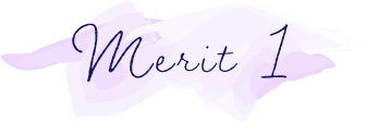 merit01